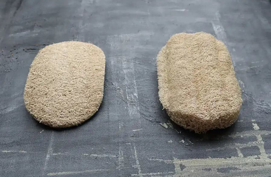 A Complete Guide to Eco Friendly Kitchen Sponges for Sustainable Cleaning