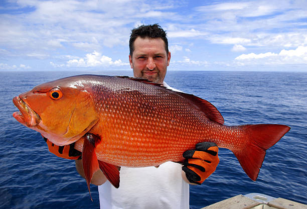 Cubera Snapper Charter in Los Sueños: Target One of the Ocean’s Strongest Fighters
